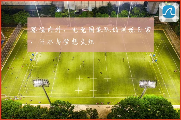 赛场内外，电竞国家队的训练日常，汗水与梦想交织